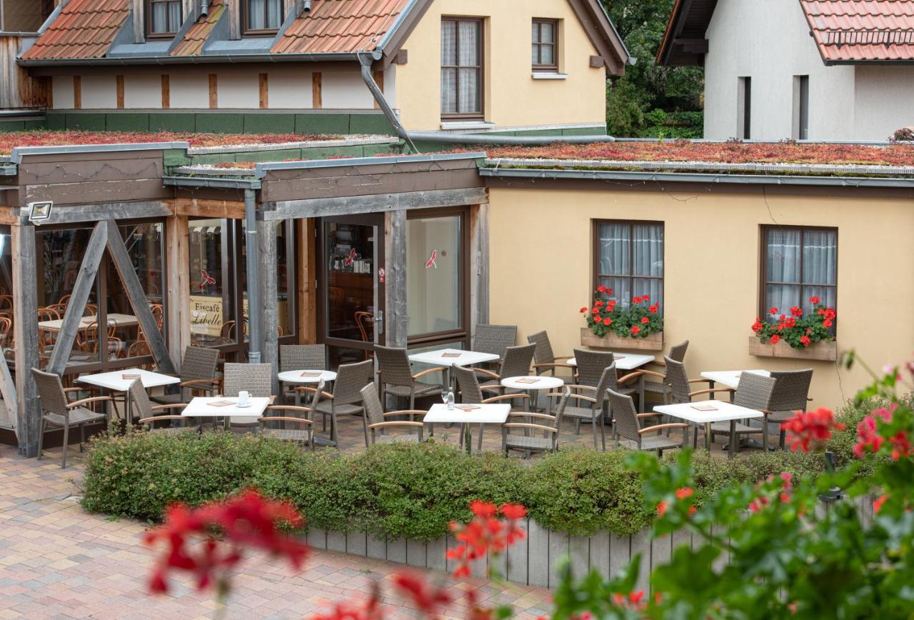 Pension-Cafe-Libelle Elxleben bei Arnstadt エクステリア 写真